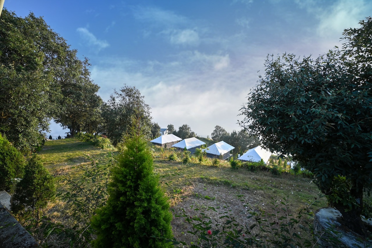 WhatsApp Image 2025-05-21 at 4.28.07 PM-2