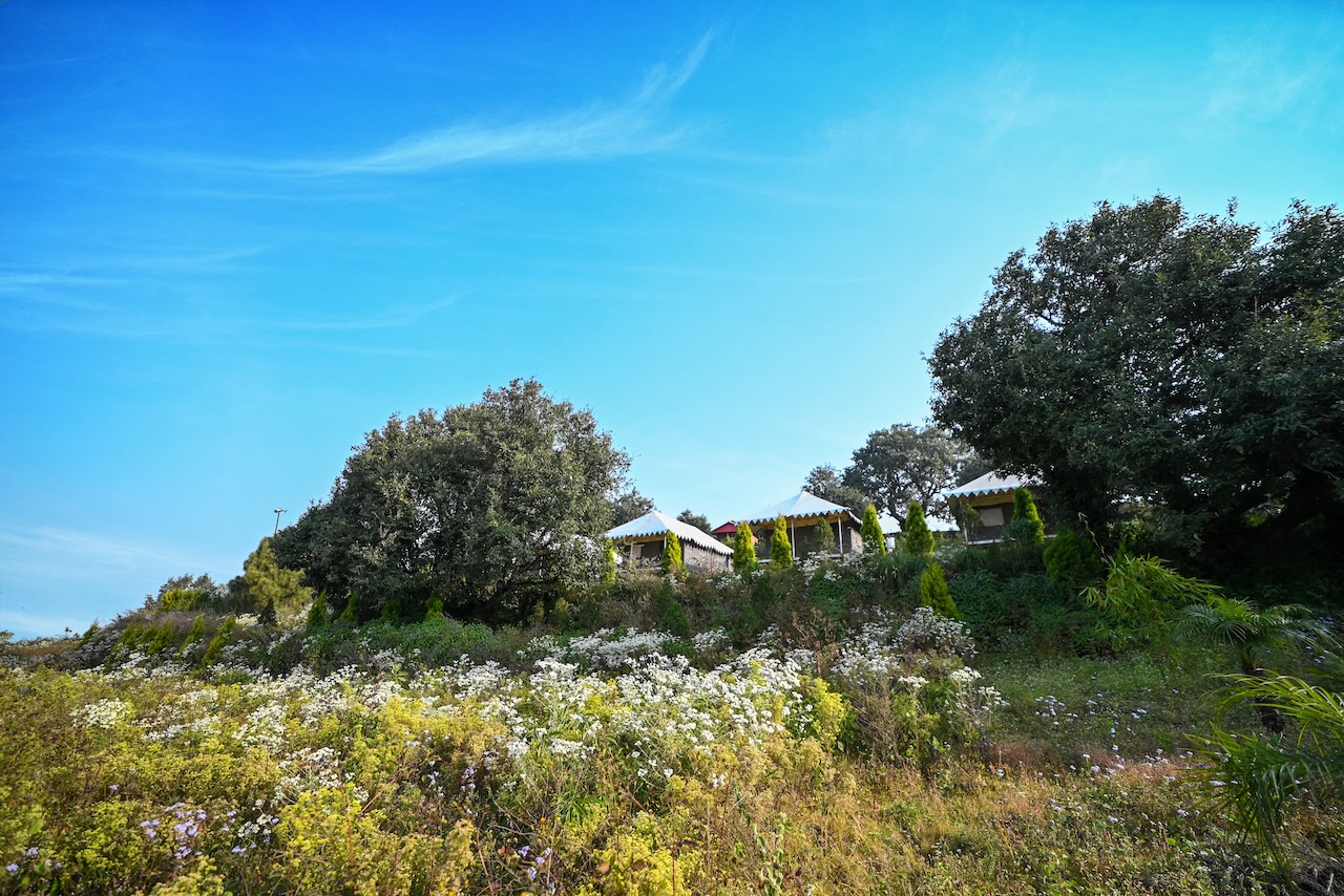 WhatsApp Image 2025-05-21 at 4.28.08 PM